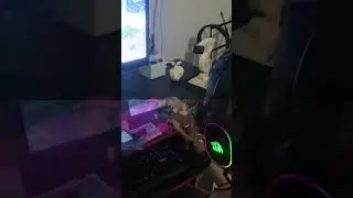 #music #freefire #shortsvideo #ff #fypシ゚ #pc #emuladorfreefire #garena
