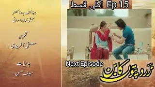 New Best Sence | Zard Patton Ka Bunn Episode 14 | Latest New Teaser |