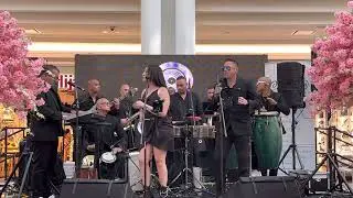 Pa allá voy -Marc Anthony - Cover Grupo Pal Sábado