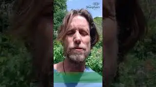 Learn nature-based mindfulness and meditation techniques