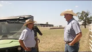 Versatility Matters: Using DDG Cubes in a Diversified Cattle Operation