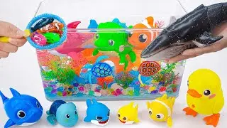 [🐳Toy asmr🐳] RC Whale & Hammer Shark & Yellow Duck & Shark Aquarium ASMR Satisfying with Unboxing