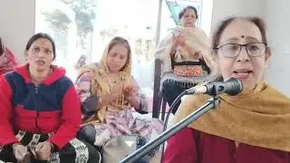 🌺 Krishna bhajan🌺शयाम सुंदर संग लागे नैना, तुम बिन अब चैना नाही 🌺#bhajan #kirtankebhajan #🌿🌺
