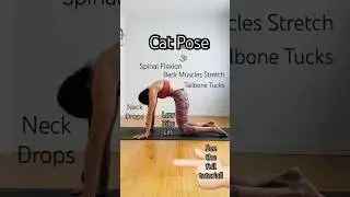 Learn How To Do Cat Cow Stretch 🐱 🐮 #Yoga