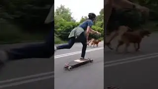 PUSH IT! #longboard #skateboarding #skate #longboarder #newyork #centralpark #skating #fyp #shorts