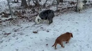 Tucker joins Beverly, Winston & Winnie