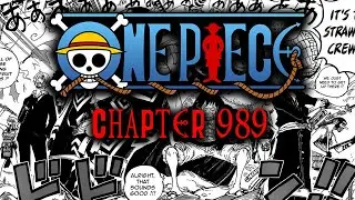 THEY'RE BACK TOGETHER | One Piece Chapter 989 Reading and Review