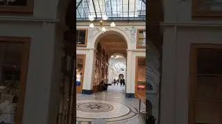 Look at this luxurious Parisian covered passage!