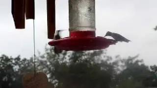 P9110030