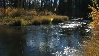 Creeks & Rivers of the Yukon with Relaxing Music and Natural Sounds &ndash; 38 min Long