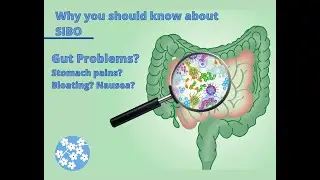 Bugs In Your Stomach?? (SIBO Symptoms, Onset & More!)
