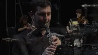 Matias Vesterg&aring;rd-Hansen: Collapse And Collapse - Ensemble Recherche