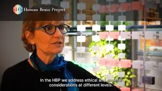 Arleen Salles on embedding ethical reflection in Human Brain Project research
