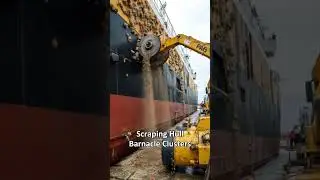 Keeping Ship Barnacle-Free #ShipHullCleaning #MarineWorkers #ShipMaintenance #SmoothSailing