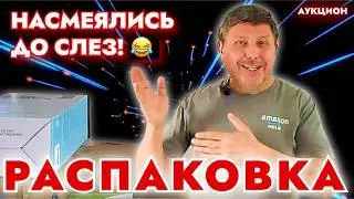 Мы такого ещё  не видели! | Посылки с аукциона и не только!😱