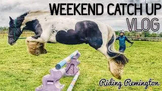 WEEKEND CATCH UP | Driving, jumping, pole work | Riding Remington
