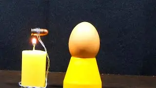 Bullet Vs Egg Experiment | #shorts #ytshorts
