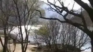 Wild Rover Tours film