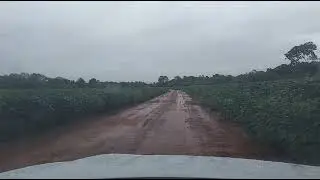 Outra &Aacute;rea perto do Mato - PAEPAN (ANGIERRYS National Extreme Precision Agriculture Project).