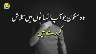 logo se kibi b sukoon nhein milta 😭