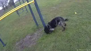 Walkies 14 1 26
