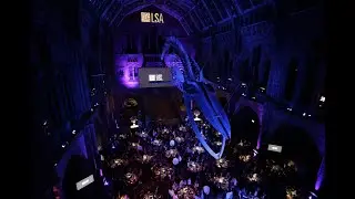 Leaders Sports Awards - 2019 Highlights