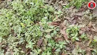যেসব জিনিসে পাচমিনিটে কাজ হয়/চিনে রাখুন কাজে আসবে/01747757518
