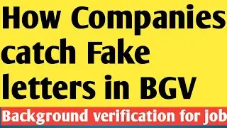 They Found My Fake Experience Letter &mdash; This Happened Next! How Companies Verify Experience Letters