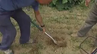 Iron Age coins worth &pound;1m found by Jersey treasure hunters