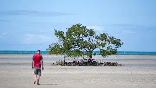 Hiking and biking Cedar Bay, Cape Tribulation