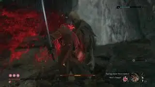 Snake Eyes Shirahagi - Sekiro
