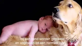 Boekpresentatie voor jou 10 anderen