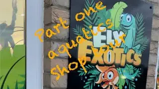 Ely exotics; shop tour part one (aquatics version)