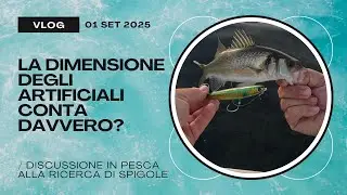 Spigole in diretta - La verit&agrave; sulla dimensione degli artificiali - I 7 NANI 😱