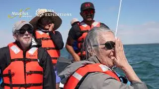 Top 10 Reasons to Visit San Ignacio Lagoon. Part 2
