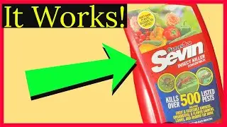 GARDENTECH SEVIN CONCENTRATE BUG KILLER
