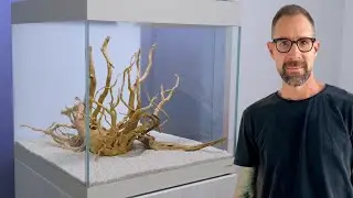 КАК СДЕЛАТЬ АКВАСКЕЙП С ПОМОЩЬЮ ДРЕВЕСИНЫ SPIDER WOOD