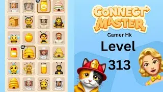 Connect Master level 313 Walkthrough Solution 