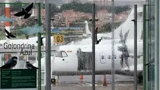 MEDELLIN | Aeropuerto Olaya Herrera | AGOST 3 - 19