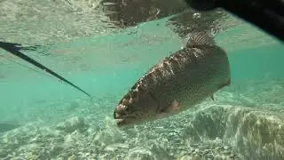 VAL MASTALLONE FLY FISHING RISERVA LA SELVA