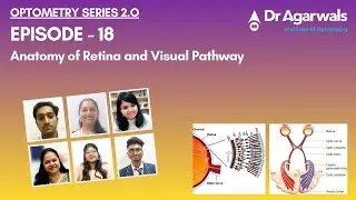 Optometry Series 2.0 Episode - 18 Anatomy of Retina and Visual Pathway