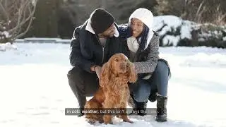Cold Weather Challenge: Dogs vs Winter Jackets