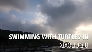 Swimming with turtles on Liuqiu Island