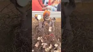 कांटे वाले बाबा का वीडियो हुआ वायरल 📈 Mahakumbh me kante wale Baba and Reporter