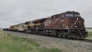 CPKC Train C28 East Taber Sub Mile 38.13 Bow Island, AB & Mile 21.99 Seven Persons, AB May 19, 2025.