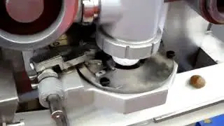 Haitel Machinery  HTL Automatic Mooncake production line machine