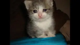 Playing Titanfall 2 each day until I start estrogen :3 (Day 43)