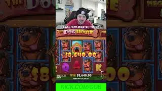 WE HIT A MASSIVE 1000X ON DOG HOUSE MEGAWAYS BASE GAME!!! #slots #gambling #spins #slot #kick