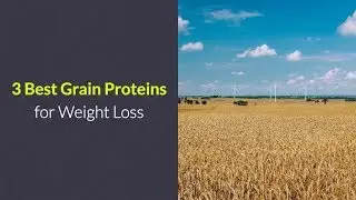 3 Best Grain Proteins for Weight Loss