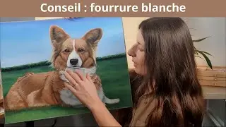 portrait d'un chien corgi [pastel sec]